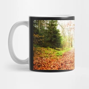 Leafy woodland path Mug